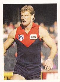 1991 Select AFL Stickers #16 Danny Hughes Front